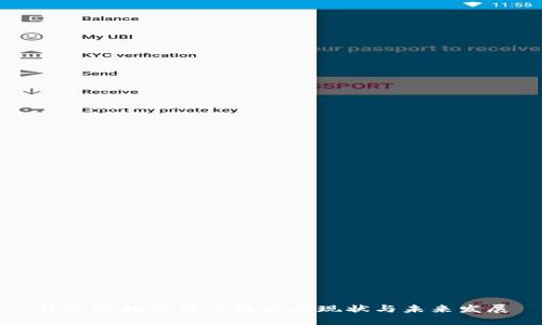 非加密数字货币技术的现状与未来发展