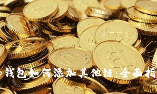 tp钱包如何添加其他链：全面指南
