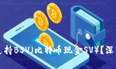 TP钱包为什么不支持BSV（比特币现金SV）？深入解