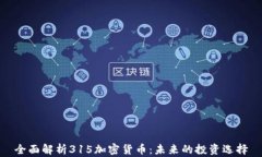 全面解析315加密货币：未来的投资选择