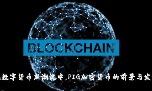 在数字货币新潮流中，PIG加密货币的前景与发展